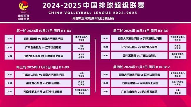 2025新澳精准正版免費資料或2025年正版资料免费,全面释义、解释和落实